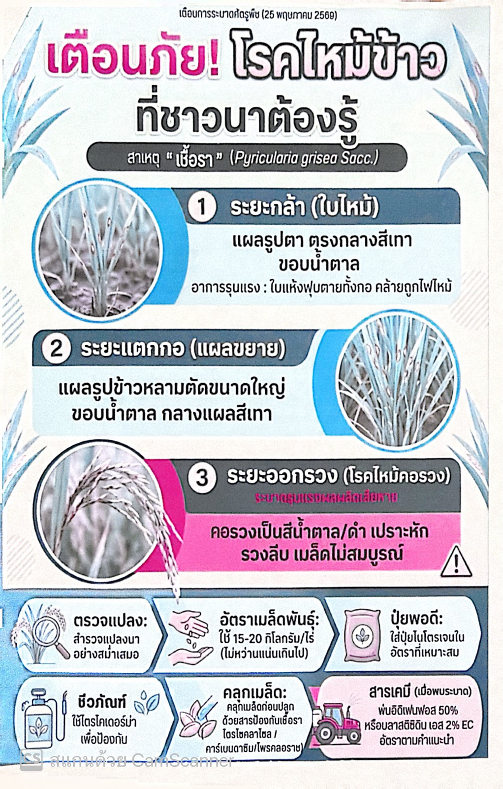 ศูนย์ส่งเสริมและพัฒนาอาชีพการเกษตรจังหวัดยโสธร เตือนเกษตรกรเฝ้าระวังโรคไหม้ข้าวในช่วงฤดูฝน