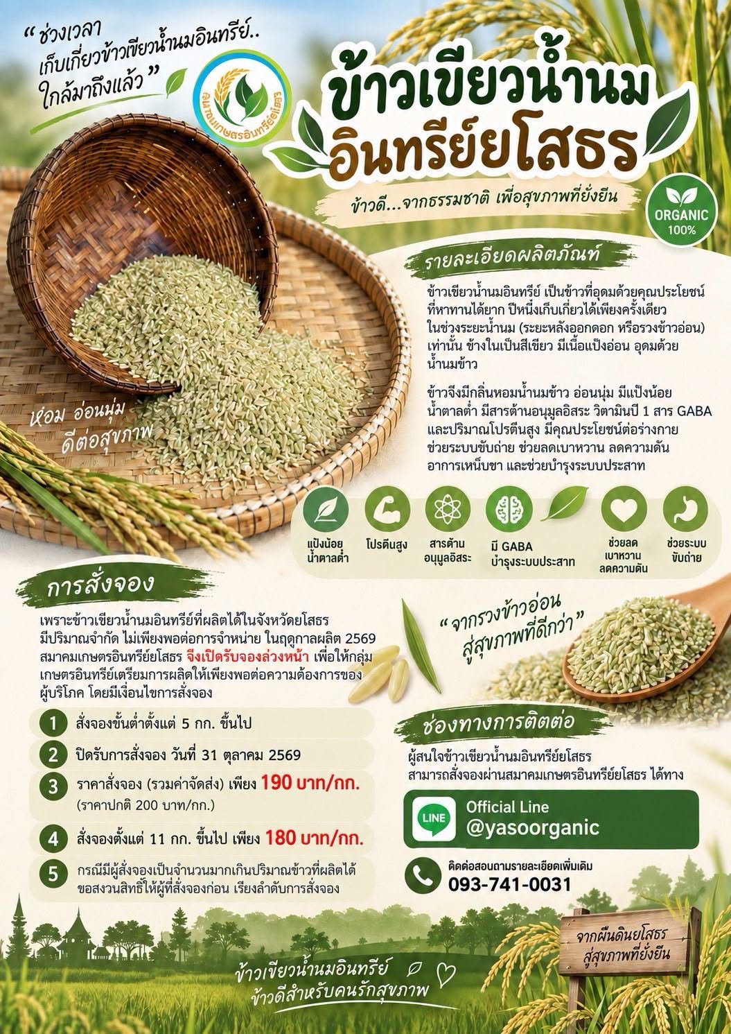สมาคมเกษตรอินทรีย์ยโสธร เปิดสั่งจอง &ldquo;ข้าวเขียวน้ำนมอินทรีย์&rdquo; ฤดูกาล 2569 ข้าวดีปีละครั้งเพื่อคนรักสุขภาพ