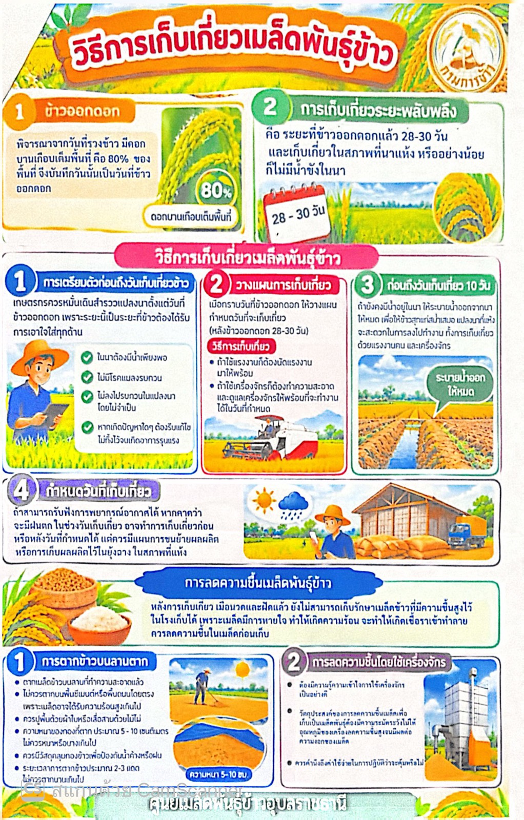 ศูนย์เมล็ดพันธุ์ข้าวอุบลราชธานี ขอความอนุเคราะห์ประชาสัมพันธ์ข่าวสารเมล็ดพันธุ์ข้าว พร้อมแนะวิธีเก็บเกี่ยวและลดความชื้นเมล็ดพันธุ์ข้าวอย่างถูกวิธี